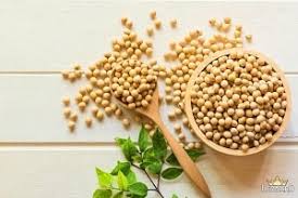 تصویر 5 از خرید عمده کنسرو نخود آبگوشتی 420 گرمی + قیمت استثنایی و شرایط ویژه
